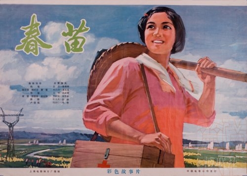 假的明尼苏达州驾照多少钱